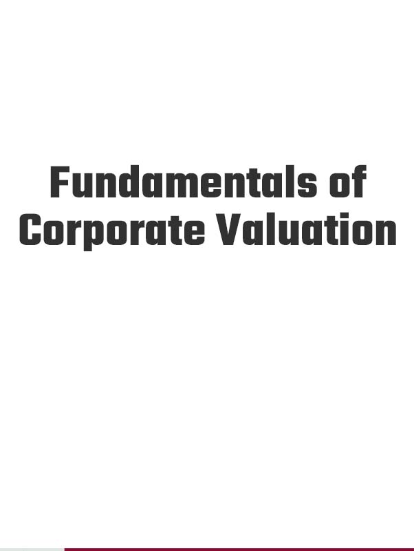 Fundamentals of Corporate Valuation