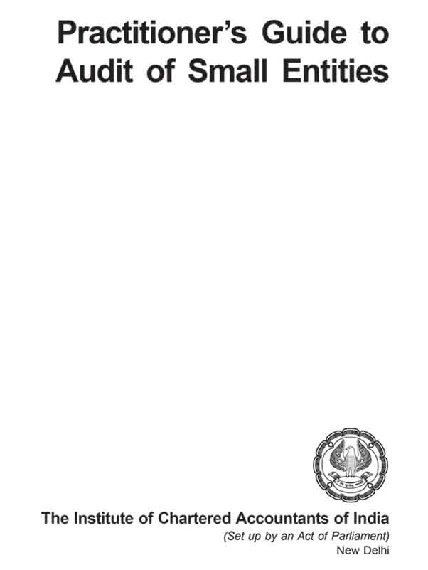 Practitioner Guide to Audit of Small Entities