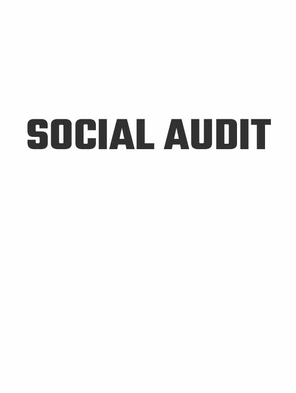 SOCIAL AUDIT