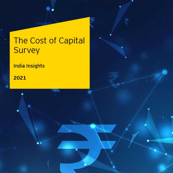 The Cost of Capital Survey